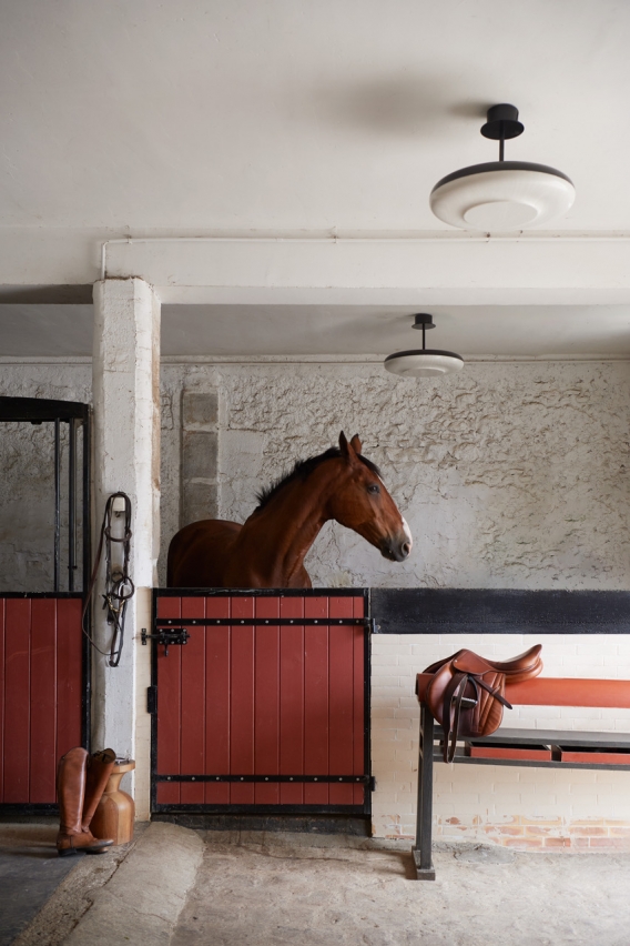 suspension chapter corian 
